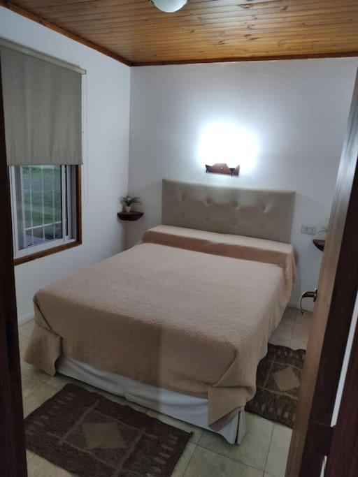 Ruca Quiyen Holiday home General Acha